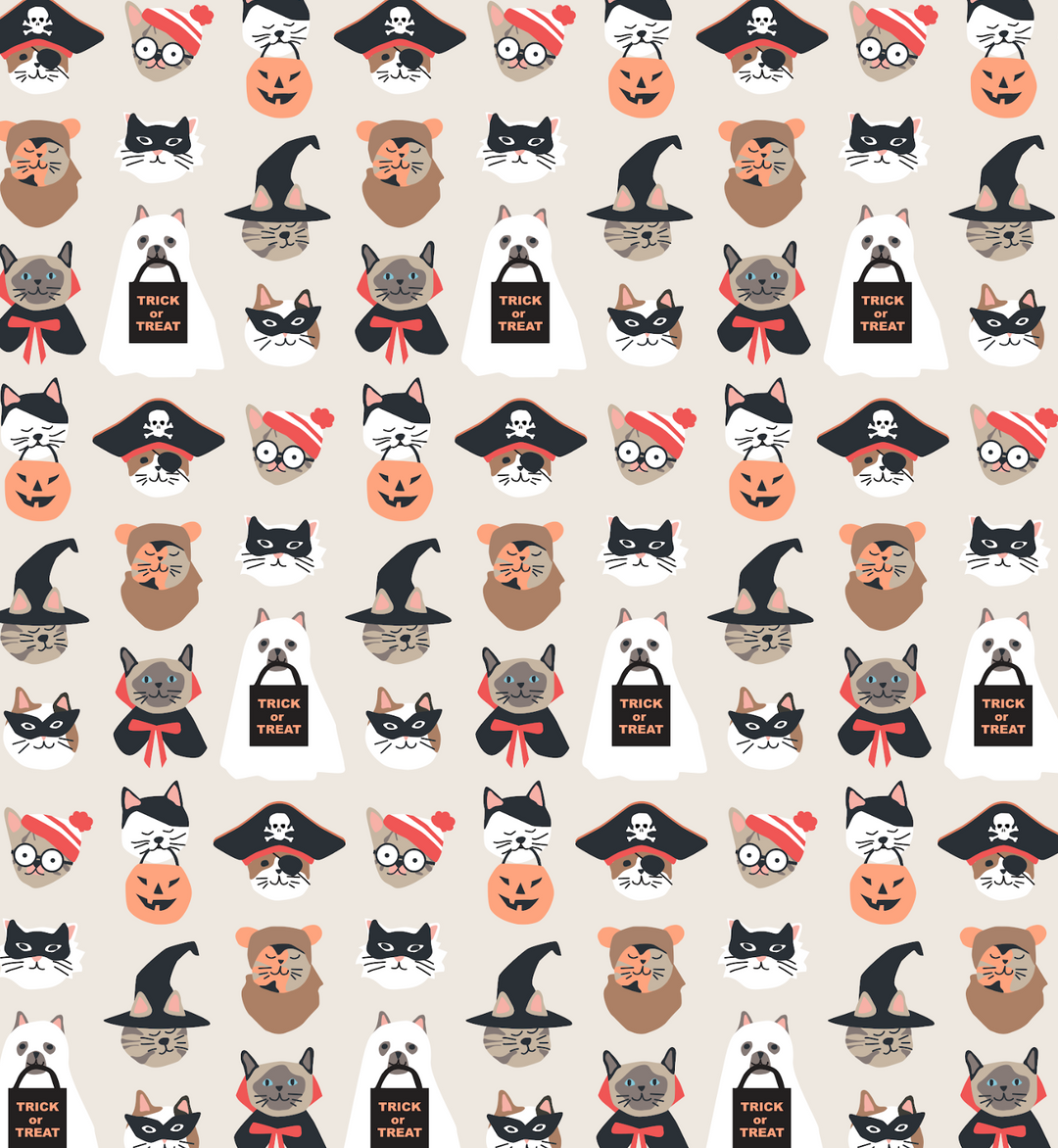 PREORDER - Meow & Treat (Dream Blanket)